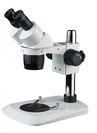Stereo Microscope