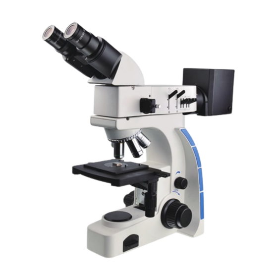 Upright Microscope